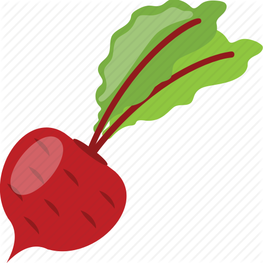 512x512 Beet Plant, Beetroot, Golden Beet, Red Vegetable, Taproot Icon