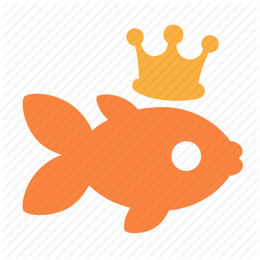 512x512 Fish, Goldfish, Wizard Icon