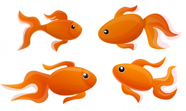626x375 Goldfish Icon Set Cartoon Set Of Goldfish Vector Icons For Web