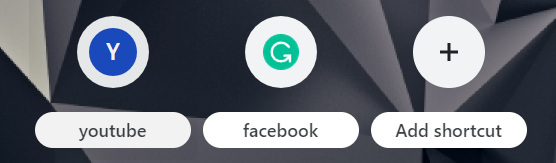 google chrome icon with person