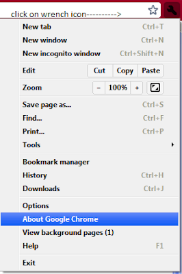 How To Speed Up Google Chrome 266x400 How To Speed Up Google Chrome