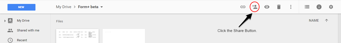 Google Drive Share Icon