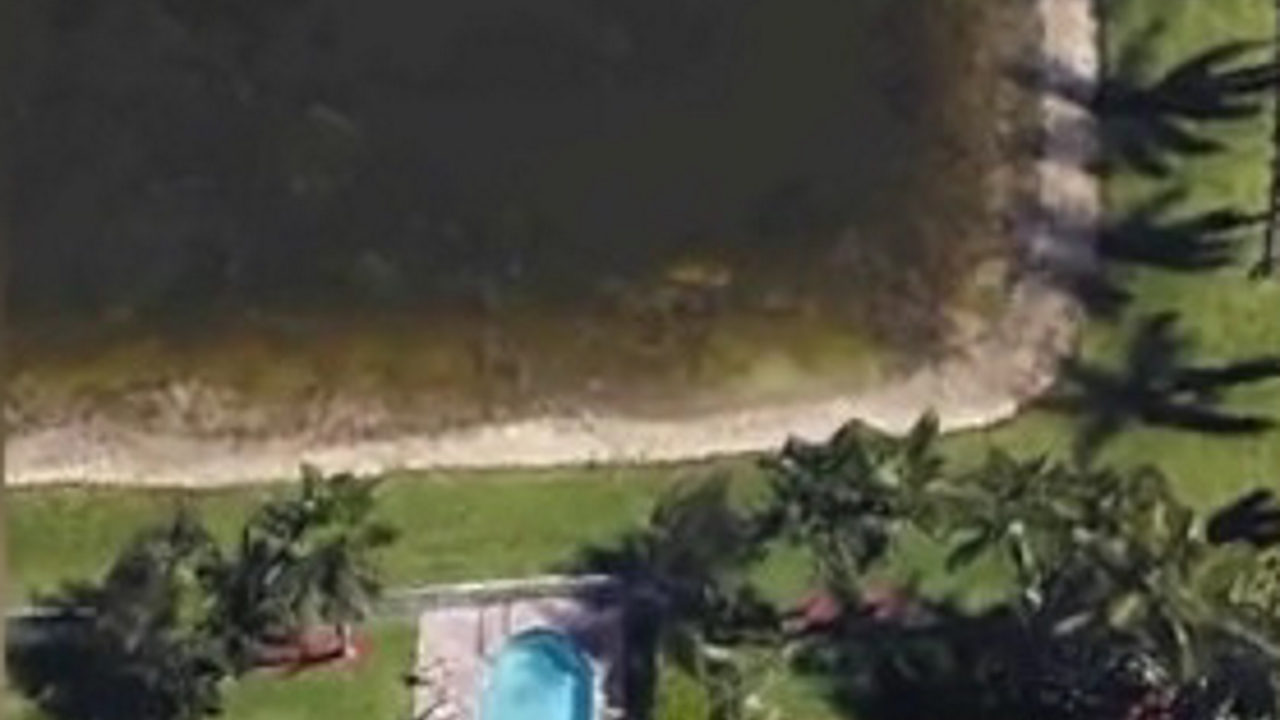 1280x720 Google Earth Helps Find Remains Of Man Missing For Years