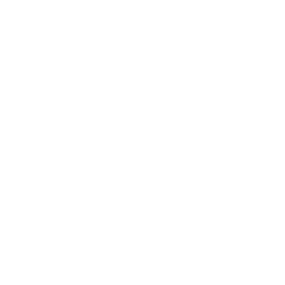 256x256 White Google Icon