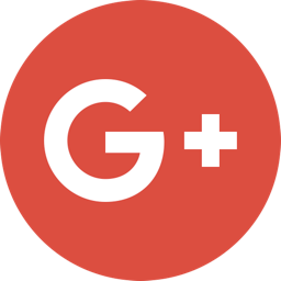 256x256 Google Plus Icon Flat