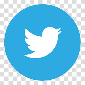 300x300 Quadrates Extended, Twitter Logo Icon Transparent Background Png