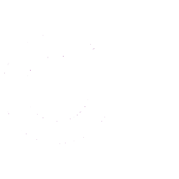256x256 Googleplus Icon