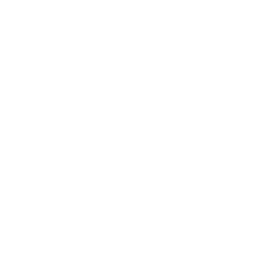 256x256 White Google Plus Icon