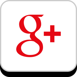 256x256 Google Plus Logo Icon Of Flat Style
