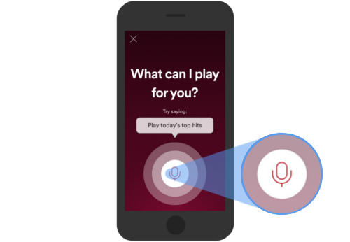 500x346 Spotify Voice