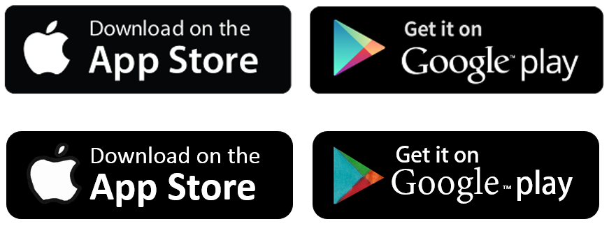 Google Store Icon