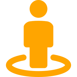 256x256 Free Orange Street View Icon