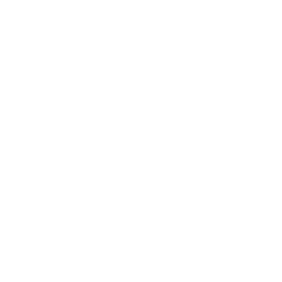 256x256 White Google Translate Icon