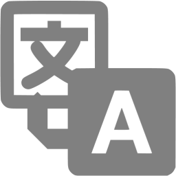256x256 Gray Google Translate Icon