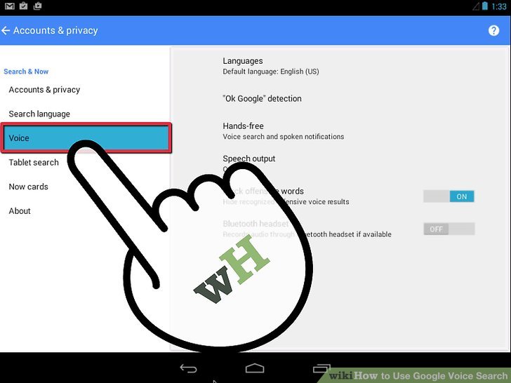 Google Voice Search Icon