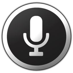 256x256 Voice Search Icon Download Metrodroid Icons Iconspedia