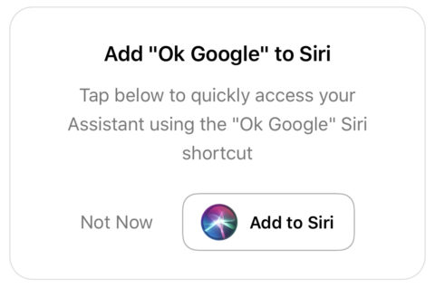 Google Assistant On Iphone Is Now Easier Than Ever To Activate 480x318 Google Assistant On Iphone Is Now Easier Than Ever To Activate