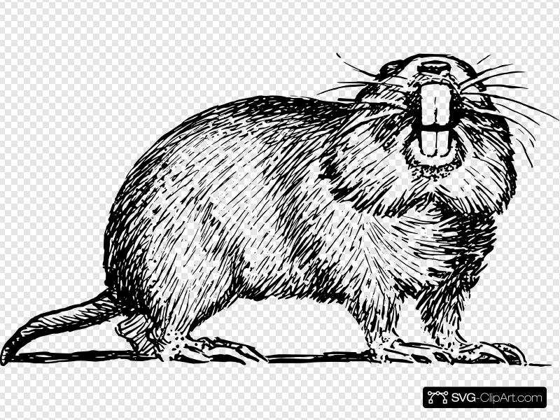 800x600 Gopher Clip Art, Icon