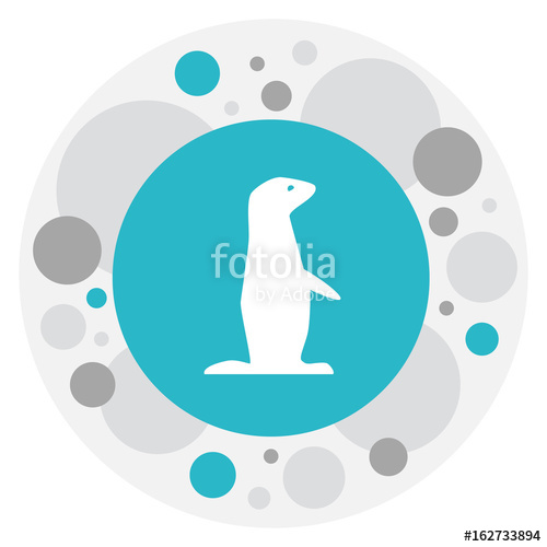 500x500 Vector Illustration Of Zoology Symbol On Gopher Icon Premium