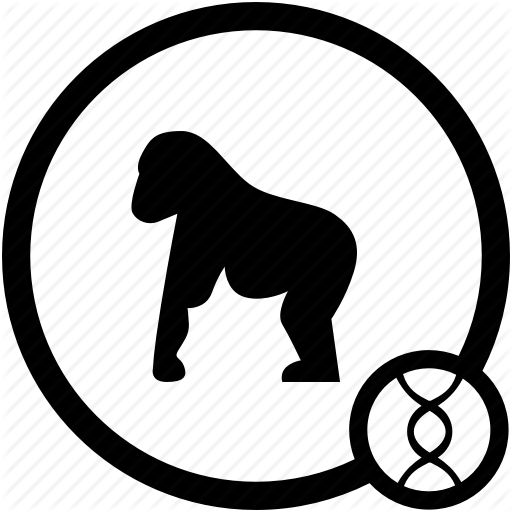 Animal, Gorilla, Monkey, Zoo Icon 512x512 Animal, Gorilla, Monkey, Zoo Icon