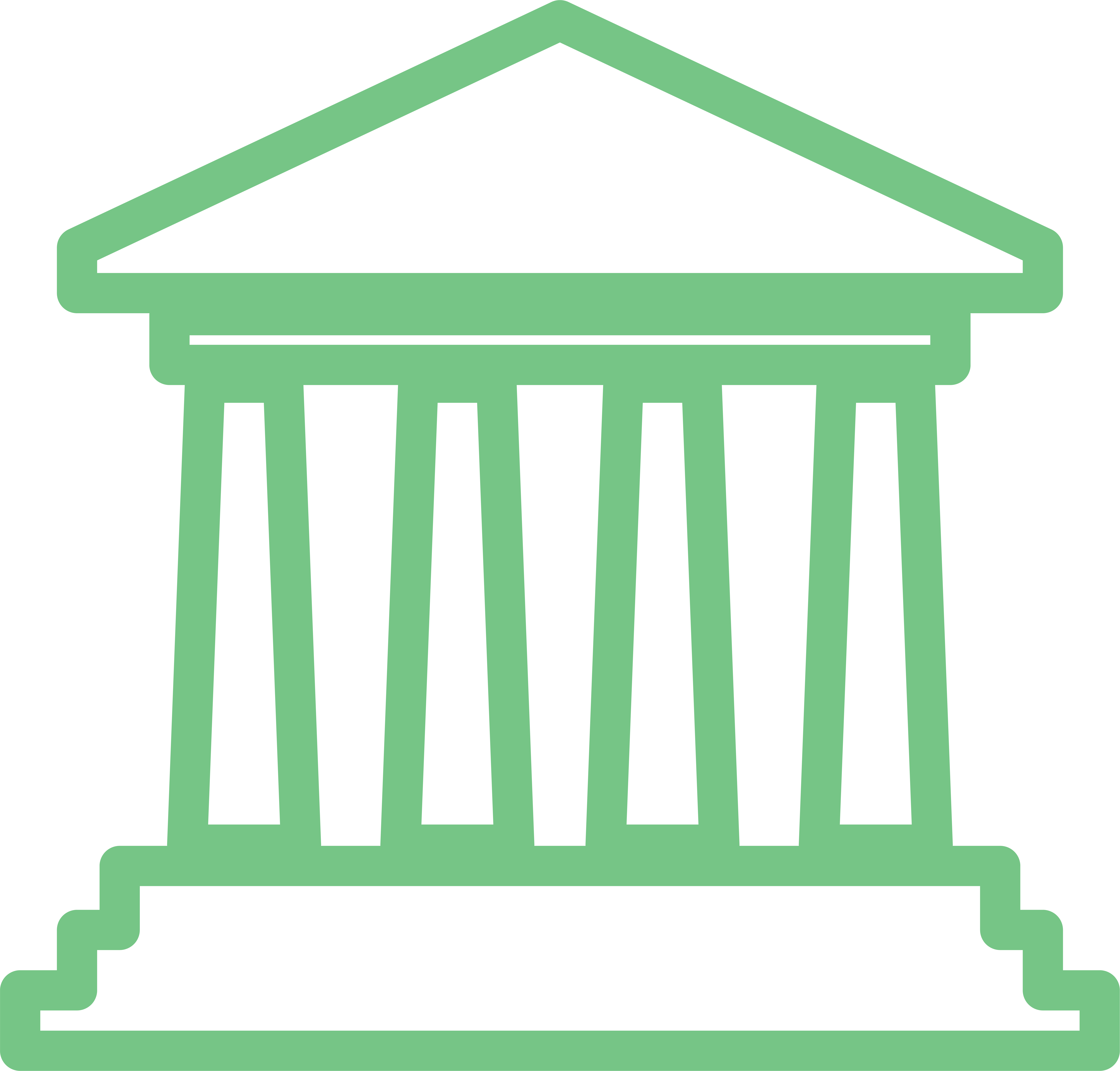 6881x6582 Government Icon