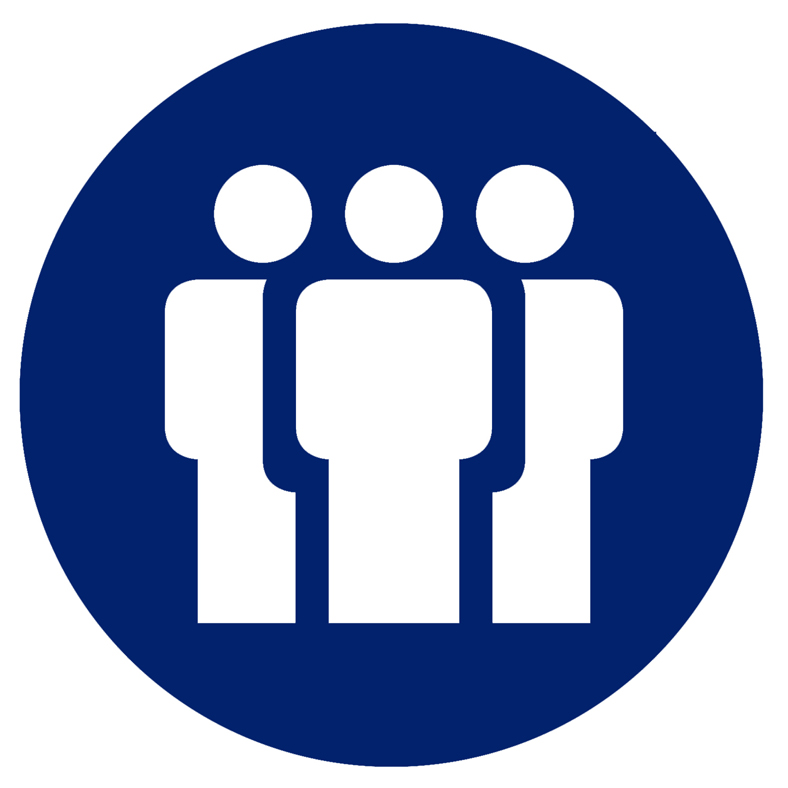 788x788 Government Icon