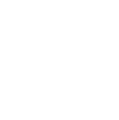 Enterprise Grade Icon Turnto Networks 396x400 Enterprise Grade Icon Turnto Networks