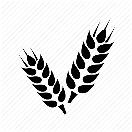 512x512 Grain, Wheat, Wheat Crop Icon