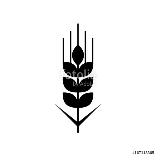500x500 Wheat Gran Black, Minimalist Icon Isolated On White