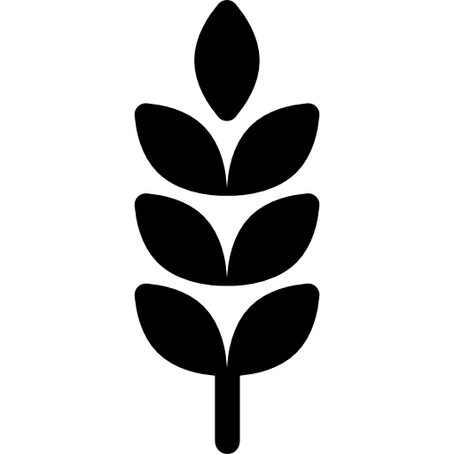 512x512 Wheat Grains Icons Free Download