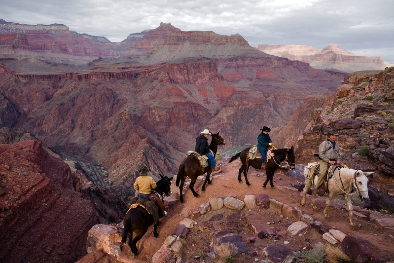 799x533 Travel Make The Most Of Grand Canyon, An Icon A Million Years