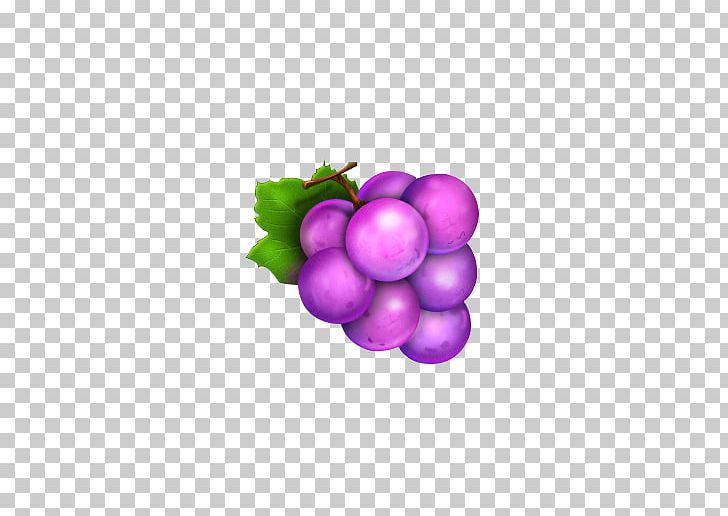 728x516 Grape Icon Png, Clipart, Adobe Illustrator, Aug, Circle, Computer