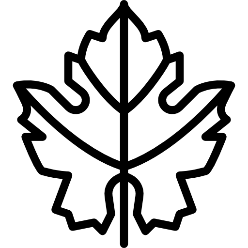 512x512 Grape Icons Free Download