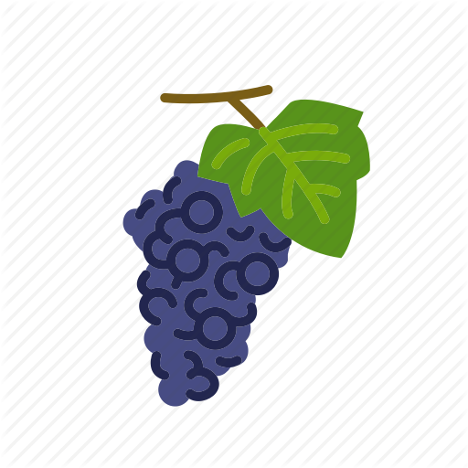 512x512 Fruit, Grape, Grape Vine, Grapes, Organic, Wine Icon