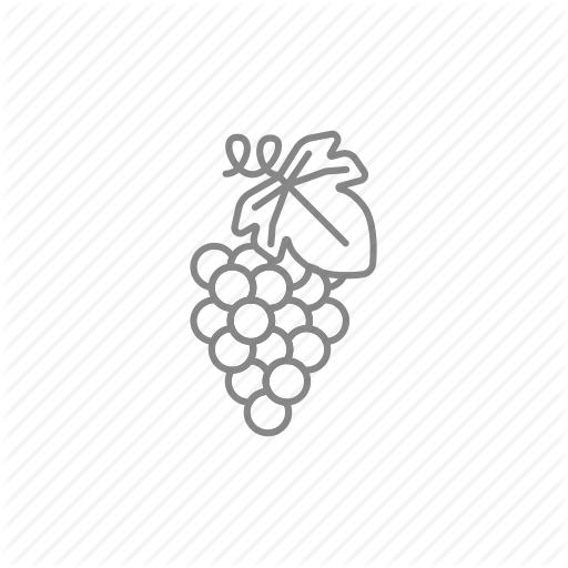 512x512 Grape, Grapevine, Purple, Ripe, Vineyard, Wine, Winery Icon
