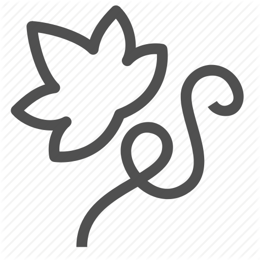 512x512 Grape, Leaf, Plant, Vine, Vineyard, Wine Icon