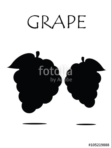 375x500 Grapes Vector Isolated Icon Logo Grapes Wine Grapes Vine Green