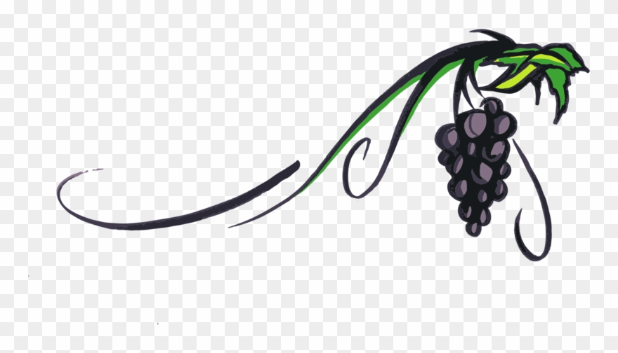 880x504 Grapevine Clipart Icon For Free Download And Use Images
