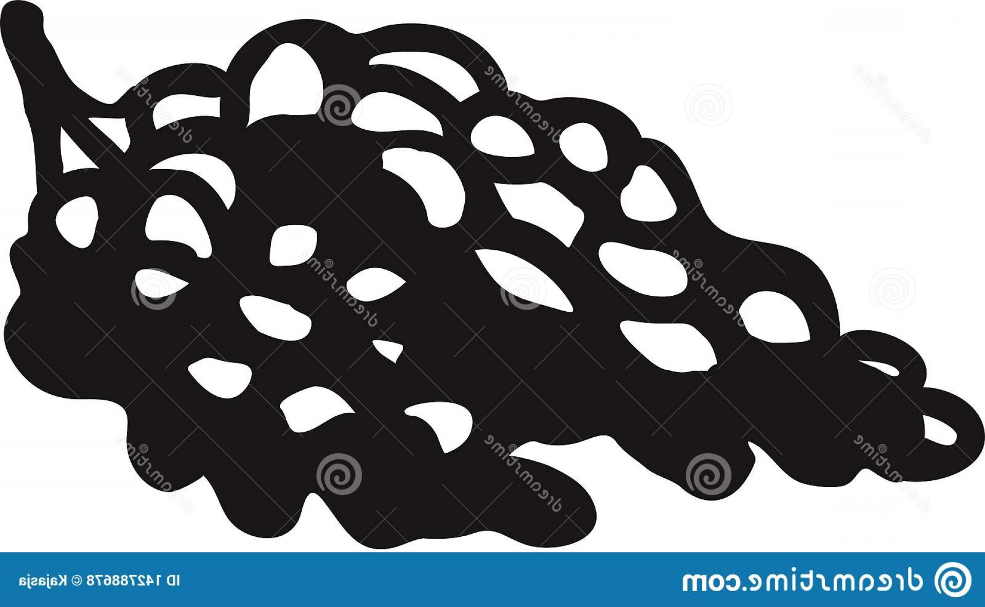 1920x1184 Vector Illustration Black Silhouette Grapes Grape Vine Vector Icon