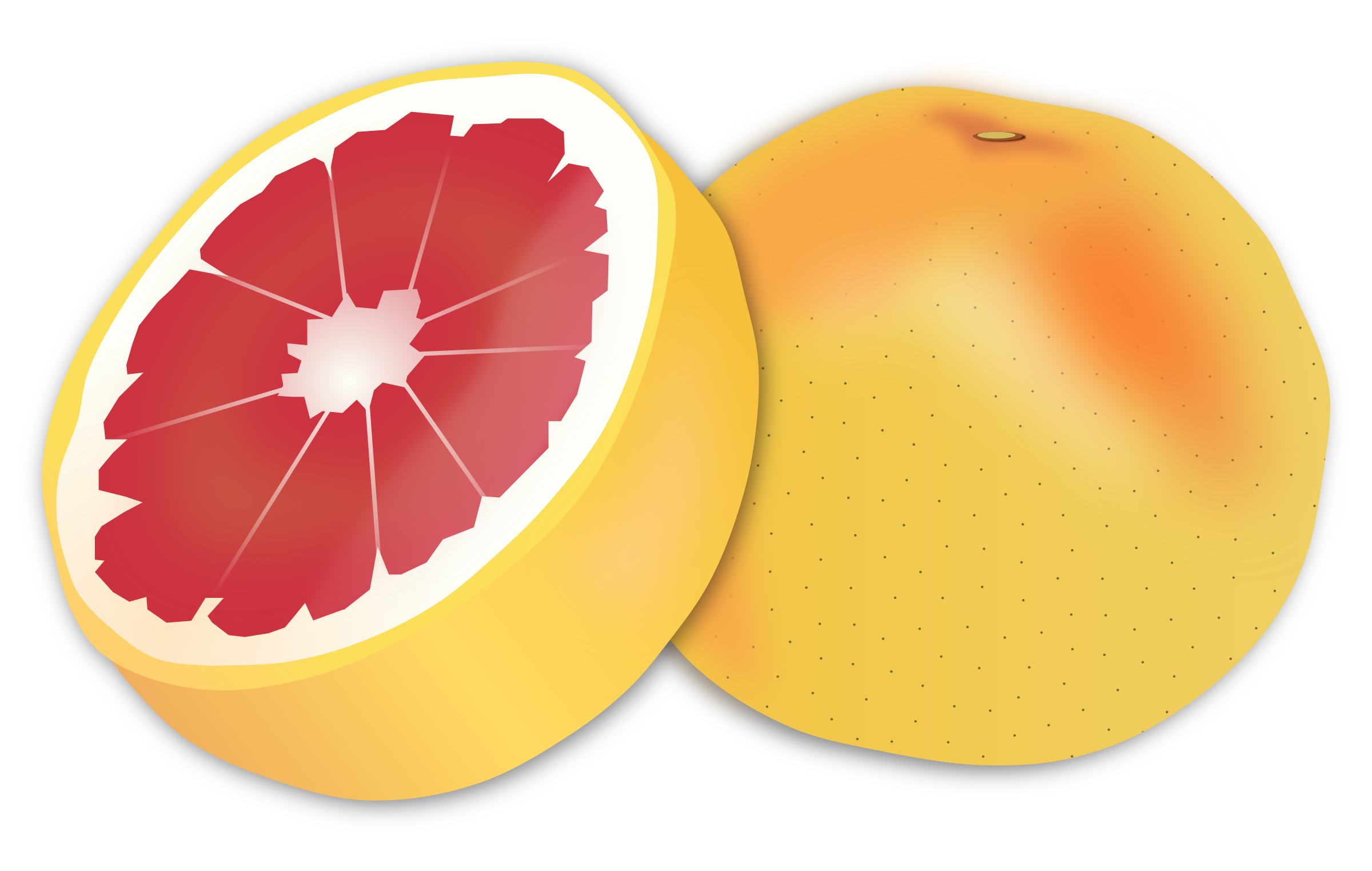 2400x1524 Grapefruit Icon Clipart Web Icons Png