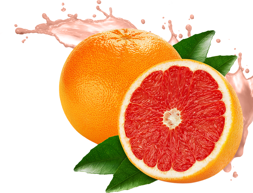 831x635 Icon Grapefruit Png