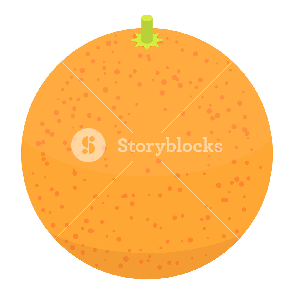 1000x1000 Whole Grapefruit Icon Isometric Of Whole Grapefruit Vector Icon