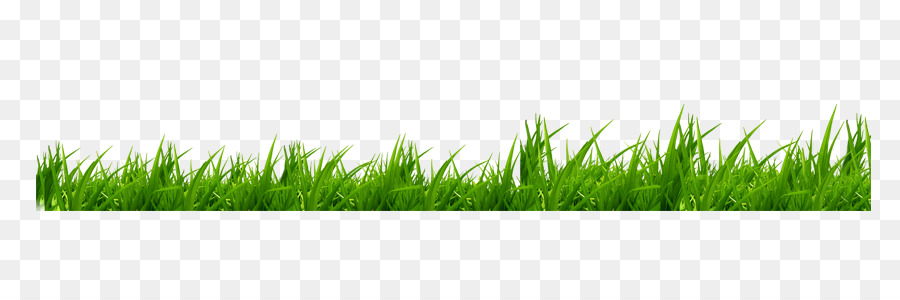 900x300 Grass Icon