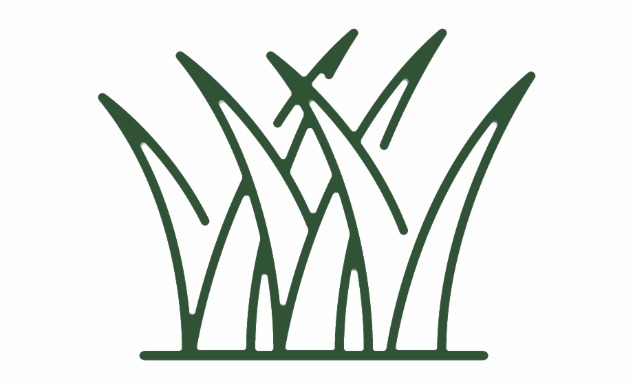 920x564 Grass Icon