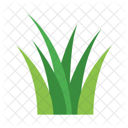 256x256 Grass Icon Of Flat Style