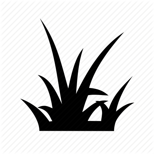 512x512 Clump, Grass, Lawn, Meadow, Pasture, Tussock, Yard Icon