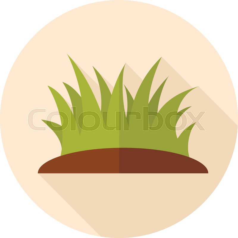 800x800 Grass Flat Icon With Long Shadow, Stock Vector Colourbox
