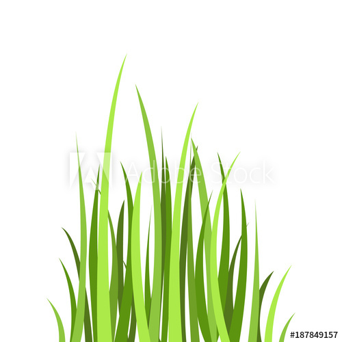 500x500 Colored Flat Icon, Vector Design Cartoon Green Grass