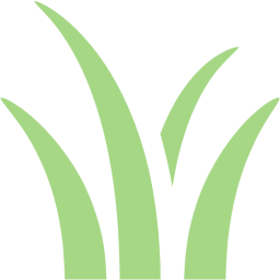 256x256 Guacamole Green Grass Icon
