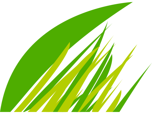 512x386 Grass Icons, Download Free Png And Vector Icons